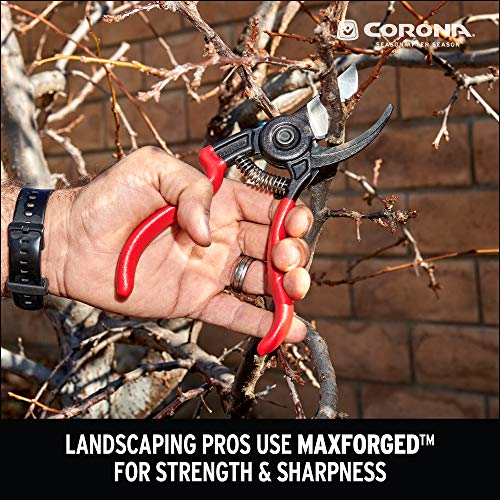 Corona Bp 3640 Forged Steel Ergoaction Angled Bypass Hand Pruner - 3/4 Inch Cut Capacity Stem And Branch Garden Shears, Red #TOP1