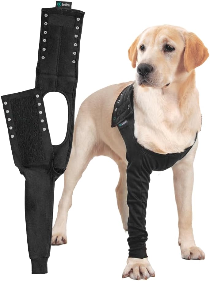 Kayden Kross paypoq kiyib, uning eshagida sikilib oldi Yigitning tibbiy korikdan otgan porno video