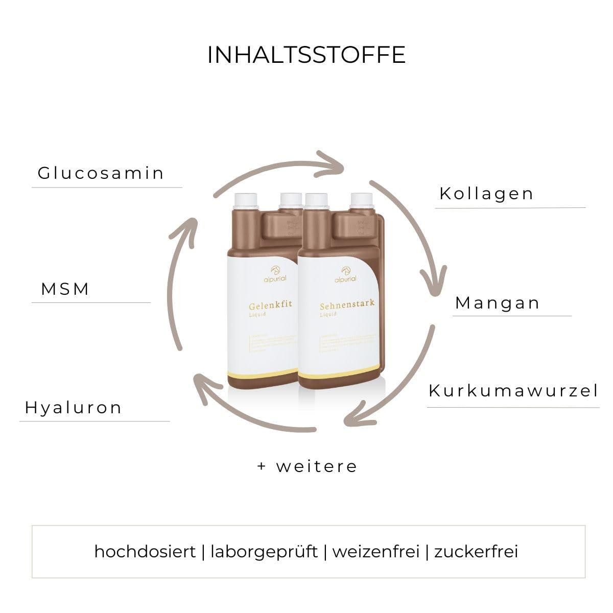 Bewegungsbundle – Ergänzungsfuttermittel für Pferde mit fütterungsbedingtem Bedarf im Bewegungsapparat – Kombination aus Gelenkfit & Sehnenstark – vom Tierarzt entwickelt