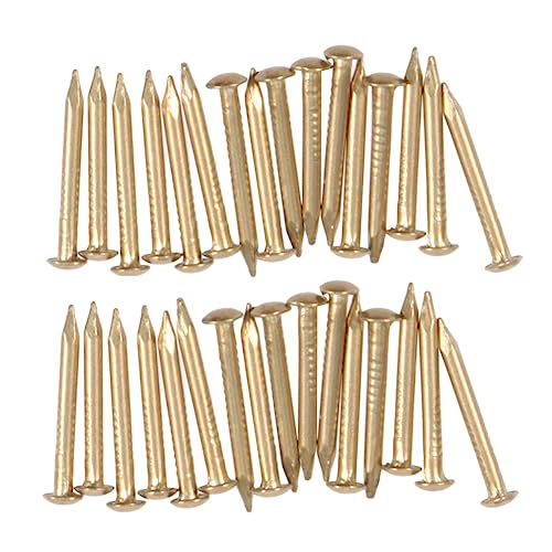 HOMOCONO 20mm Brass Nails Round Furniture Nails Pins for DIY Decorative Projects