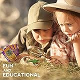 Zoom IMG-2 dr daz kit di scavo Zoom IMG-2 dr daz kit di scavo