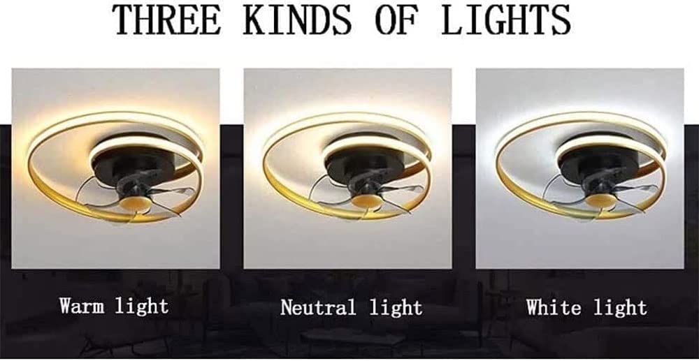 BVSPA Plafoniera Oro con ventole Plafoniera a LED con Telecomando Ventilatore da soffitto Silenzioso dimmerabile Include Kit Luce LED per Cucina, Camera da Letto, Sala da Pranzo