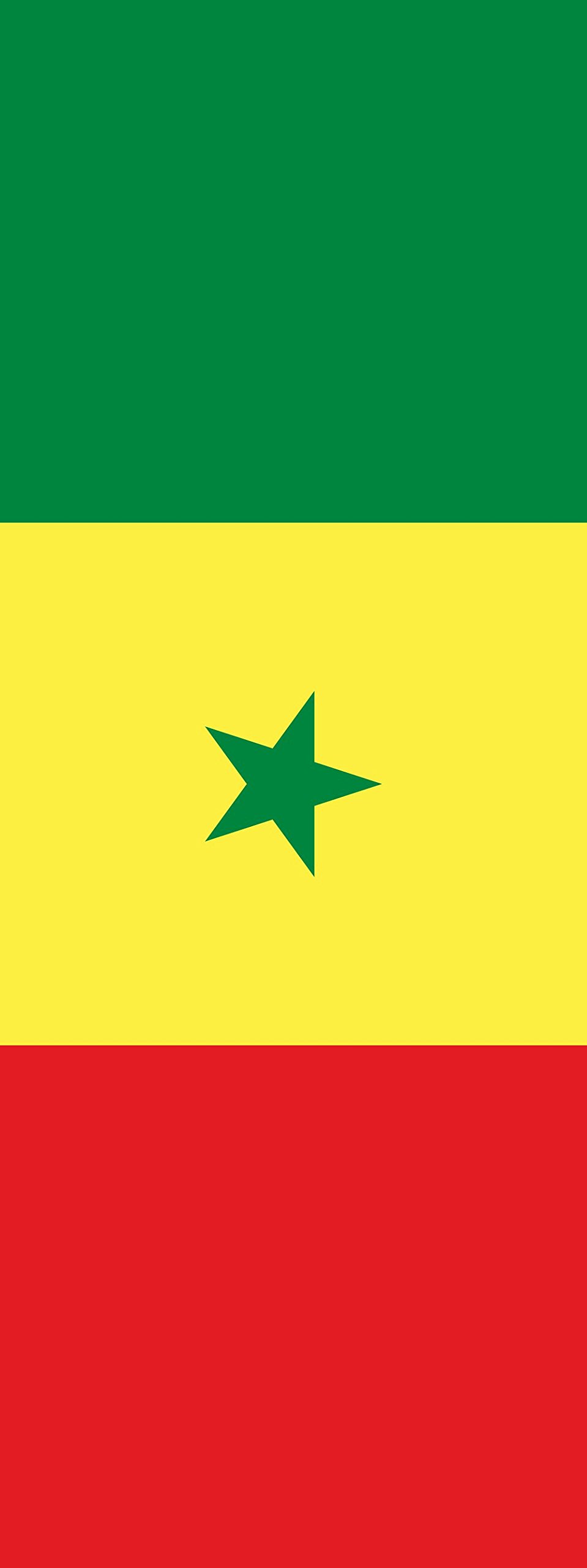 Drapeau Sénégal portrait pavillon vertical extérieur géant 6m²