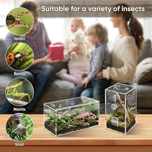 YINGXUN Jumping Spider Enclosure Set, Terrestrial Arboreal Combo, Acrylic Tarantula Terrarium, Praying Mantis Habitat, No Assembly, 2-Size Kit, Medium - 4