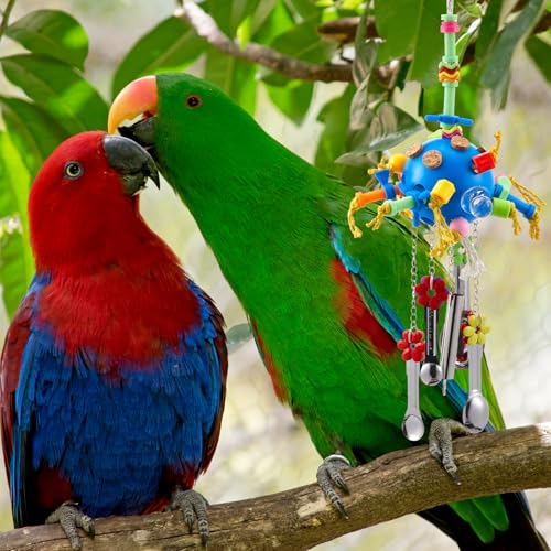 Image of Seenelling 3 Pcs Extra Large Bird Toys for Parrots, Ring and Ball | Multicolored Natural Wooden Blocks & Beads Bells, Bird Cage Chewing Toys for Large Medium Macaws African Grey Cockatoos