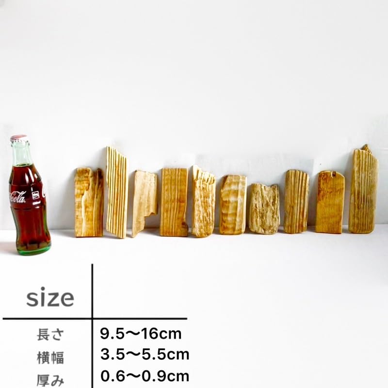 天然杉 流木 天然/流木DIY材/インテリア/材料 天然杉 流木 天然/流木DIY材/インテリア/材料