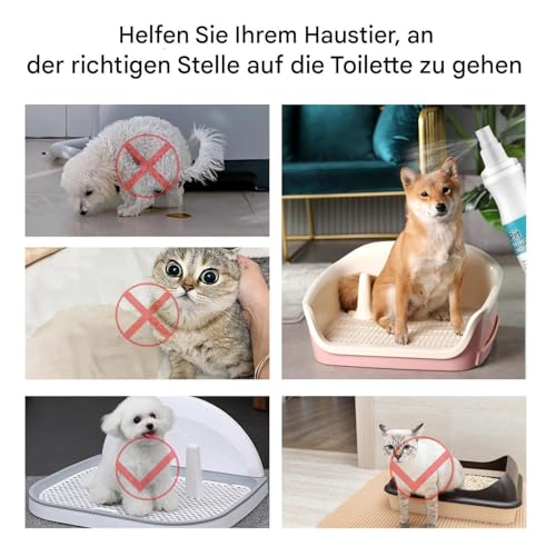 Duqulle Stubenrein Spray Für Hunde | Kot Auslöser Für Welpen - 150 ml Hundetoilettentrainingsspray für Teppich Möbel Innenbereich Garten Couch Außenbereich Haushalte Mit Mehreren Haustieren
