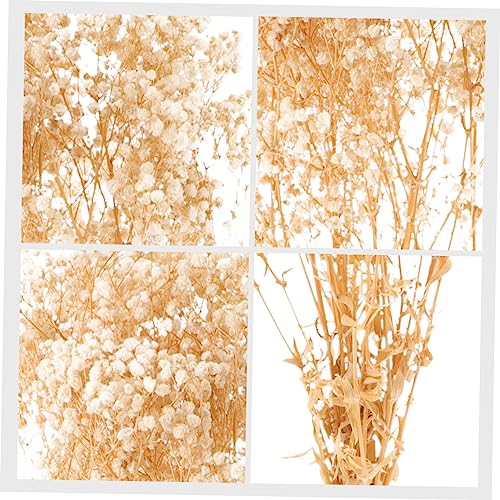 Ramo de Flores Secas Natural para Decoración miniatura 7