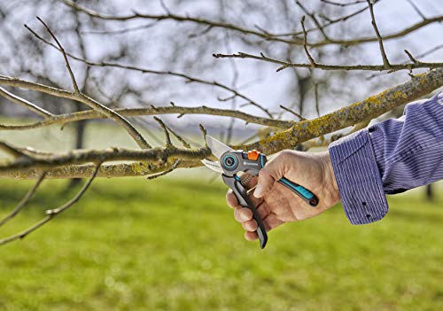 Gardena - Sxe9cateur ExpertCut : Sxe9cateur de prxe9cision, coupe bypass pour branches/rameaux/arbres fruitiers, diamxe8tre de coupe max. 22 mm, deux largeurs de poignxe9e rxe9glables (12203-20)