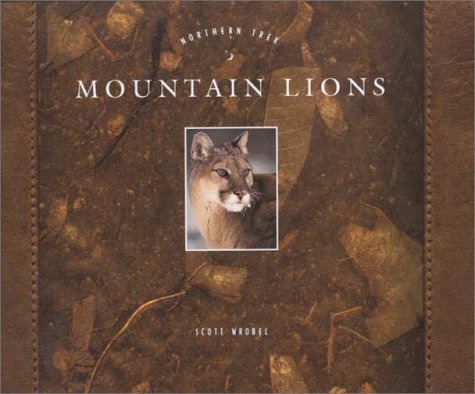  Mountain Lions