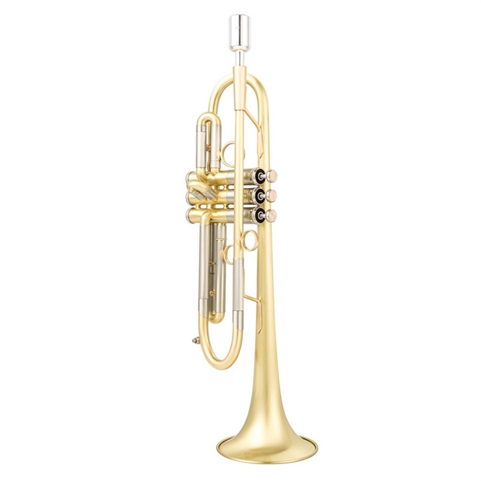 Tromba Standard Per Principianti Strumento A Fiato Professionale Per Principianti Tromba In Si Bemolle Placcato Argento(E)