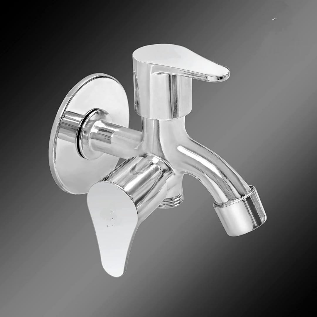 BATHBLISS Stainless Steel Two in One Bib Taps Faucet (Pack of 1) (B0D8Z44GD5) Amazon Price History, Amazon Price Tracker