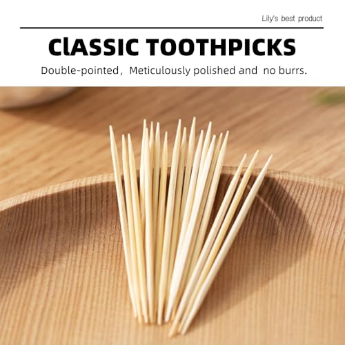 600 count bamboo toothpicks for teeth cleaning appetizer olive barbecue fruit double-points wooden toothpick