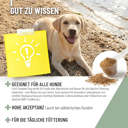 4in1 Complete Dog 250 g – Tägliche Ergänzung für Hunde mit Grünlippmuschel, Inulin, Bierhefe & Hagebutte I unterstützt Gelenke, Verdauung, Haut & Fell & Immunsystem