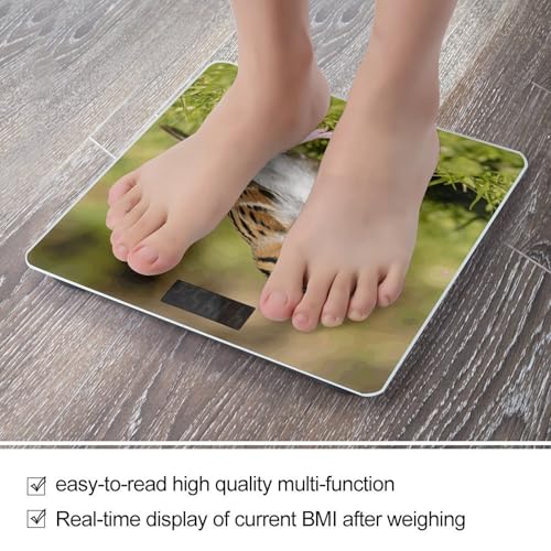 Báscula Digital para Baño con Pantalla LCD y Vidrio Templado miniatura 5