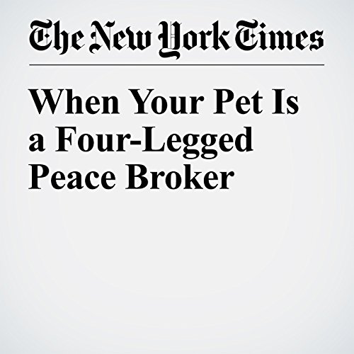 When Your Pet Is a Four-Legged Peace Broker cover art