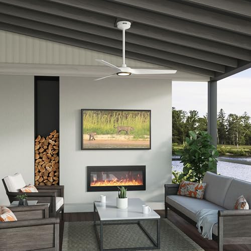 Ceiling Fan with Lights