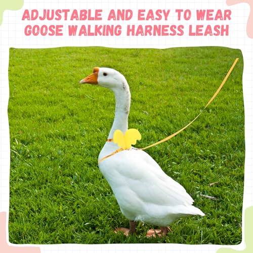 Image of SATINIOR 3 Pack Harness and Leash for Pet Ducks, Real Duck Collar and Leash Soft and Adjustable Harness Training Traction Rope Collar for Young Adult Pet Goose Chicken Hen (Pink Green Yellow,S)