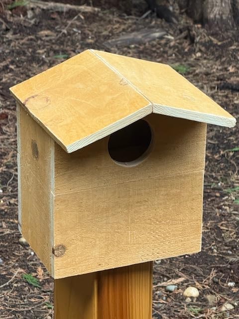 Squirrel Nesting House Habitat Box, Natural Western Red Cedar, 10x6.5x11.5 Inches with 3 Inch Entry and Predator Shield, Handcrafted