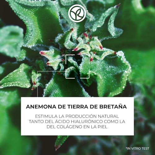 Yves Rocher Lift Pro-CollagèNe Trattamento Anti-Rughe Rassodante Intenso Giorno E Notte - 3