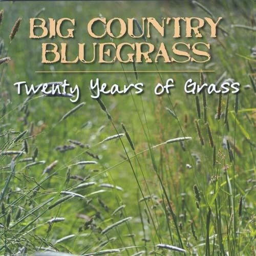 Twenty Years of Grass