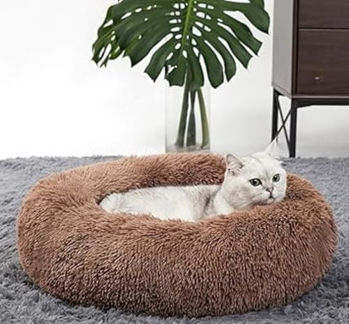 Image of ZEXSAZONE Summer Comfortable Washable and Lightweight on Both Sides usable cat Bed l pet Bed l Puppy Bed for Small and Medium Size cat, Puppy, Dogs pet Bed Brown S Size Season