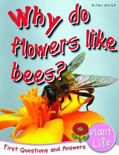 First Q&A - Why Do Flowers Like Bees?