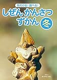 見わける！　調べる！　しぜんかんさつずかん　冬