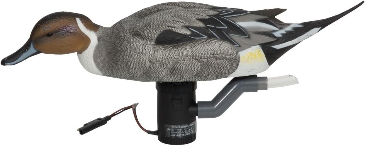 Banded GHG Finisher Swimmer Pintail Drake Motion Decoy