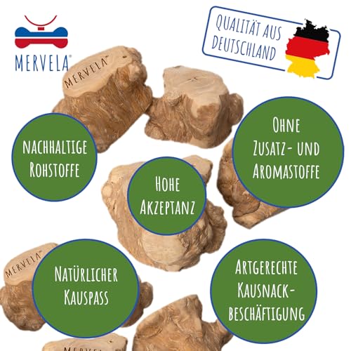 MERVELA® Kauwurzel für mittelere Hunde – Natürliches Kauspielzeug – Zahnpflege & Langlebig – Ideal für Starke Kauer – natürliche Beschäftigung (Kauwurzel Medium 1 Stück)