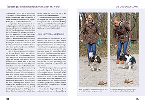 Das Buch für Hundeeltern: Hunde emotional verstehen und erziehen