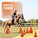 Imagen de XEIYEI Accesorios de Entrenamiento de Agilidad para Perros y Caballos 5 Set Agility Set Perros Barreras Juego de Obstáculos Niños 23cm para Entrenamiento de Animales y fútbol