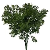 Duiaynke
