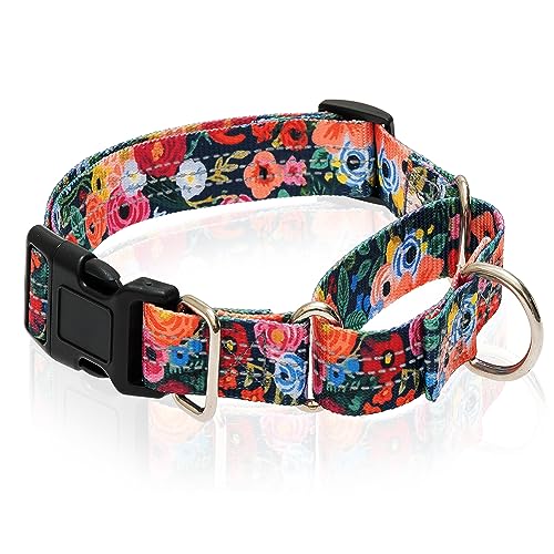 Keep Your Pup Safe and Secure with These Top 10 No Slip Dog Collars A