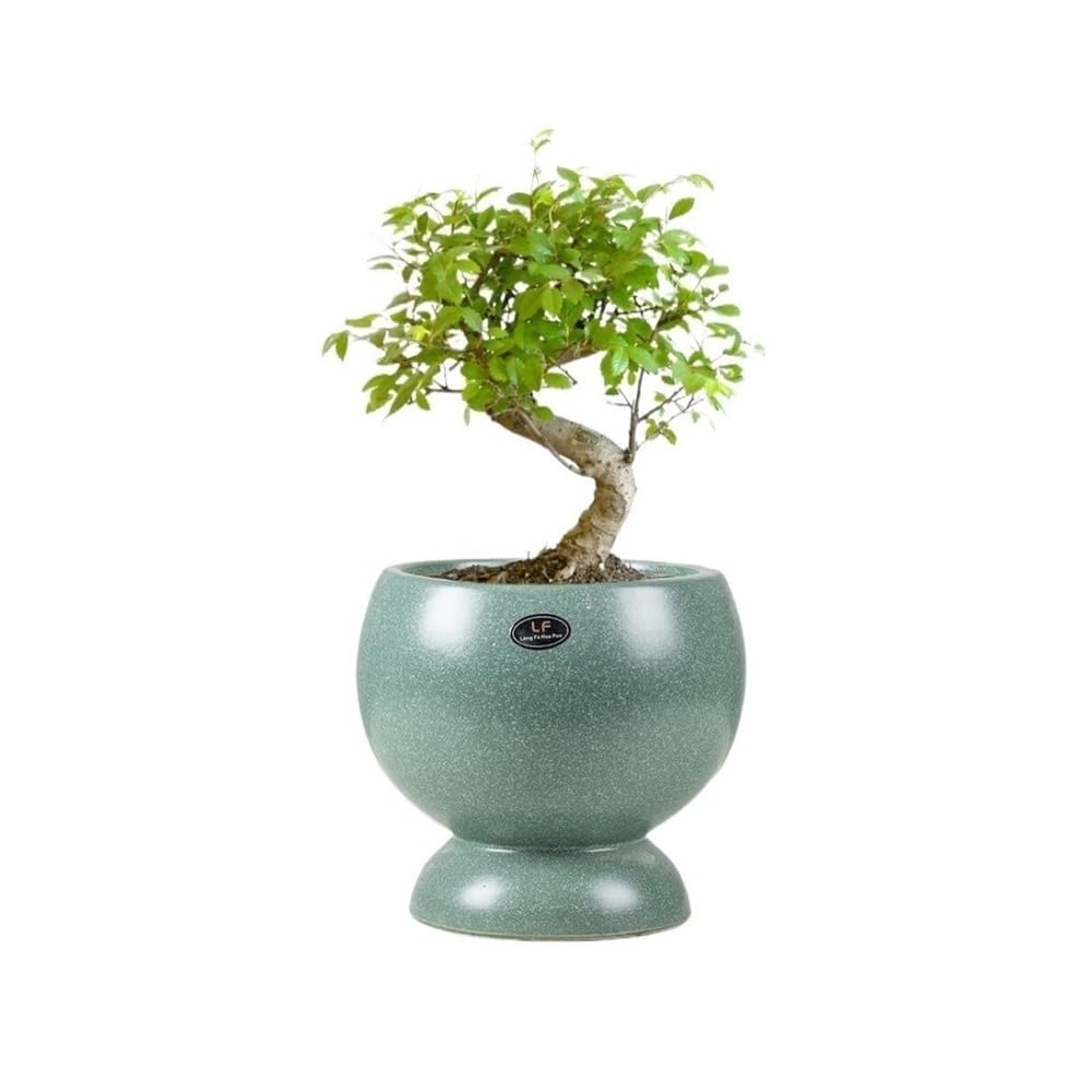 Doniczka, Ceramiczna doniczka z oświetleniem, luksusowa, kreatywna, do salonu, oddychająca
