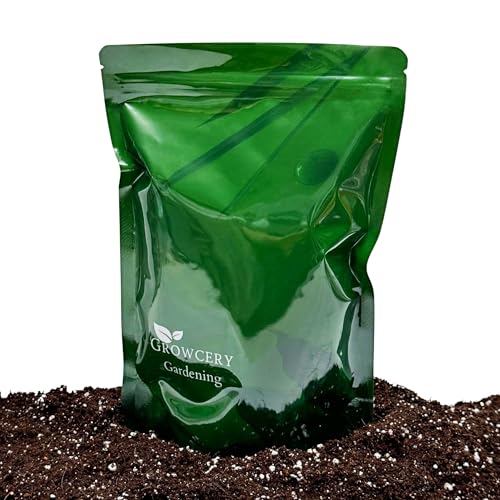 Premium Succulent & Cacti Potting Mix with Activated Biochar Free-Draining Soil for Indoor & Outdoor Cactus & Succulent Plants (1L)