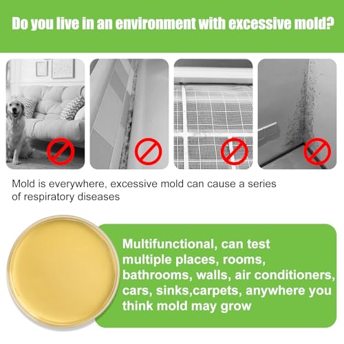 Kayenqo KAYENQO-MOLD-6 Test Kit For Home thumb #1