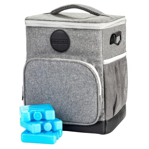 MAHEWA® Kylväska 10 l lunchväska termoväska | vattentät insats avtagbar diskmaskin tvättbar | Vakuumväska liten vikbar lätt isolerad matväska inkl. 3 x kylbatteri
