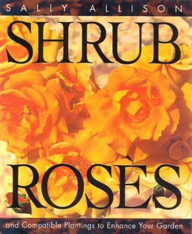 Shrub Roses and Compatible Plantings to Enhance Your Garden