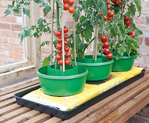 Garland Green Plant Halos Watering Pot Support Crop Beans Tomato Pepper Cane
