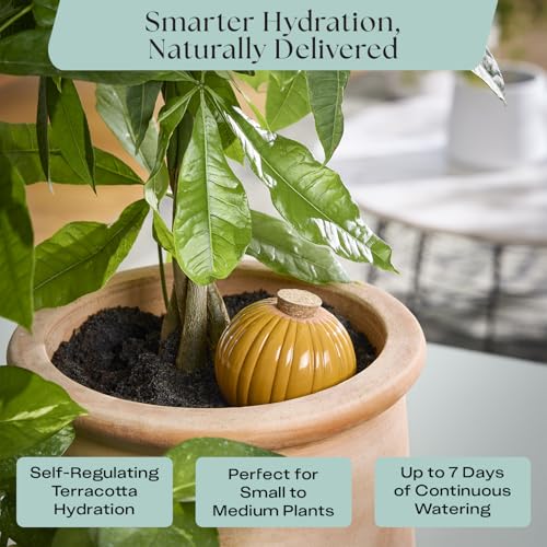 Image of Rosy Soil Plant Parent Essentials Gift Box, Indoor Plant Kit | Gift for Plant Lovers, Gardening Tool Kit, with Peat-Free Houseplant Soil, Terracotta Watering Bulb, Soil Scoop, Plant Brush