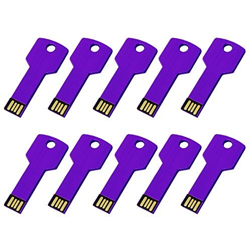 RAOYI 10PCS USB Flash Drive Metal Key Memroy Stick Thumb Drive Jump Drive (2G, Purple) Cover