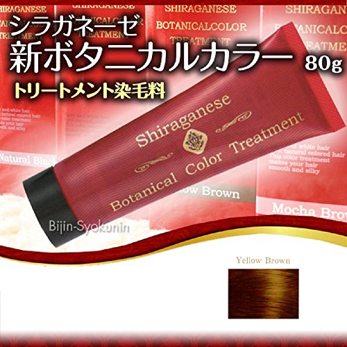 シラガネーゼ ボタニカルカラートリートメント」の人気商品一覧 | 安い