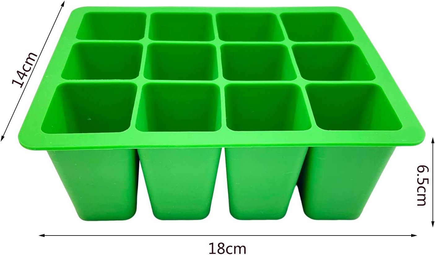 ビカクシダ ヒリー ドラゴン 板付 ビカクシダ hill ドラゴン スポア