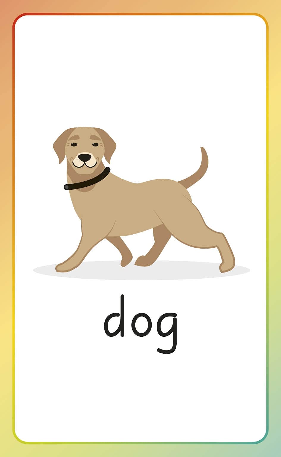 English for Everyone Junior English Alphabet Flash Cards