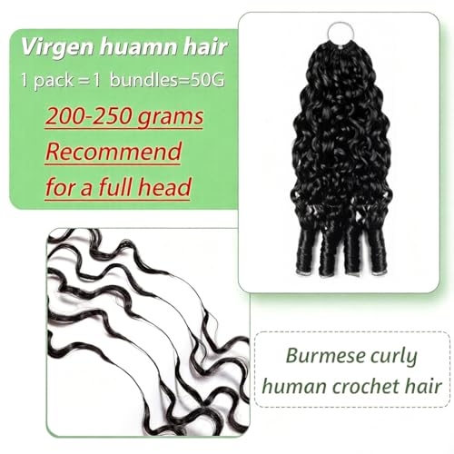 Natural Black 20inch Burmese Curly Crochet Human Hair Extensions: Knotless Pre-Separated Feather Style, Lightweight Reusable Remy Hair with Spiral Curls for Women, 50g — view 4