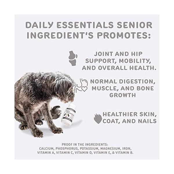 Waggedy Senior Dog Vitamins, Dog Multivitamin Senior Dog Treats to Promote Immune System & Joint Health for Dogs, Chewable Nutritional Supplement for Dogs, Made in The USA, Time Released Waggedy Senior Dog Vitamins, Dog Multivitamin Senior Dog Treats to Promote Immune System & Joint Health for Dogs, Chewable Nutritional Supplement for Dogs, Made in The USA, Time Released