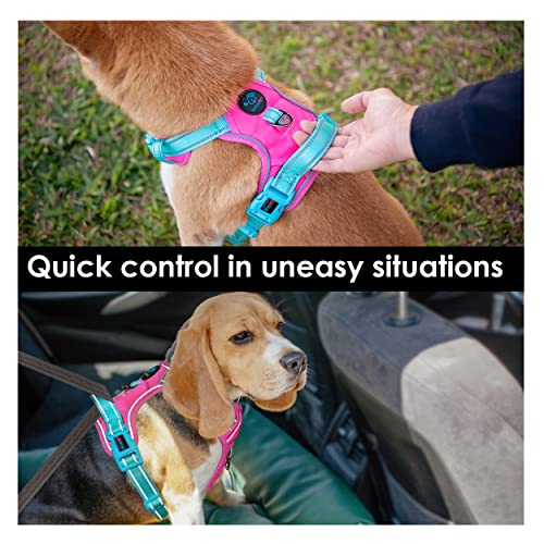 Phoepet No Pull Dog Harness, Unique Colors Reflective Adjustable Dog Vest, With Soft Training Handle Metal Clips For Small Medium Large Dogs (Pink Base & Green Straps,M) #TOP4