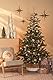 Black Box Trees Celtis Künstlicher Weihnachtsbaum mit LED-Beleuchtung – H185 x Ø112 cm – Grün mit Frostoptik