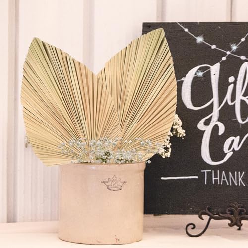 2 hojas de palma secas para decoración rústica boho miniatura 5